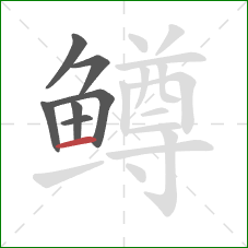 鳟的笔顺第7画:横 鳟的笔顺第7画:横