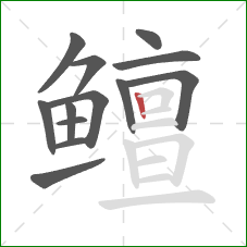 鳣的笔顺第13画:竖 鳣的笔顺第13画:竖