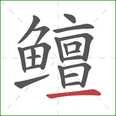 鳣的笔顺第21画:横 鳣的笔顺第21画:横