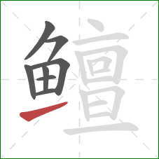 鳣的笔顺第8画:提 鳣的笔顺第8画:提