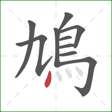鳩的笔顺第10画：点