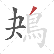 鴂的笔顺第5画:撇 鴂的笔顺第5画:撇