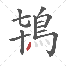 鴇的笔顺第12画：点