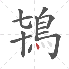 鴇的笔顺第13画：点