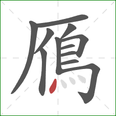 鴈的笔顺第12画：点