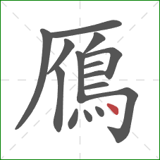 鴈的笔顺第15画：点