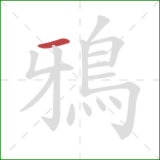 鴉的笔顺第1画:横 鴉的笔顺第1画:横