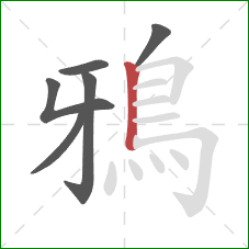 鴉的笔顺第6画:竖 鴉的笔顺第6画:竖