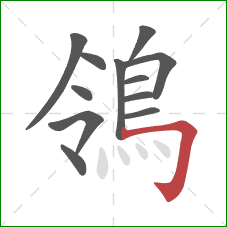 鴒的笔顺第12画:横折钩 鴒的笔顺第12画:横折钩