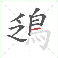 鴔的笔顺第10画：横