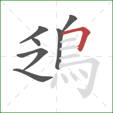 鴔的笔顺第7画：横折