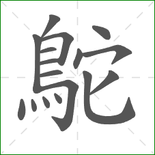 鴕的部首 鴕的部首