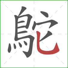 鴕的笔顺第16画:竖弯钩 鴕的笔顺第16画:竖弯钩