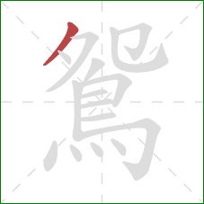 鴛的笔顺第1画:撇 鴛的笔顺第1画:撇