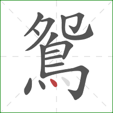 鴛的笔顺第15画:点 鴛的笔顺第15画:点