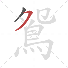 鴛的笔顺第2画:横撇 鴛的笔顺第2画:横撇