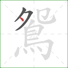 鴛的笔顺第3画:点 鴛的笔顺第3画:点