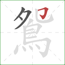 鴛的笔顺第4画:横折钩 鴛的笔顺第4画:横折钩