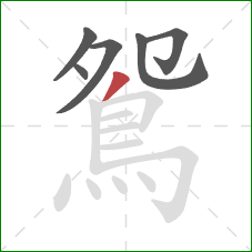 鴛的笔顺第6画:撇 鴛的笔顺第6画:撇