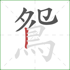 鴛的笔顺第7画:竖 鴛的笔顺第7画:竖