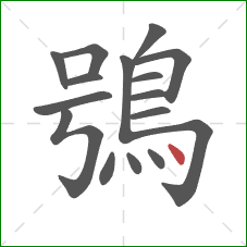 鴞的笔顺第16画：点