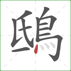 鴟的笔顺第13画:点 鴟的笔顺第13画:点