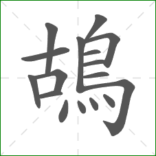鴣的部首 鴣的部首