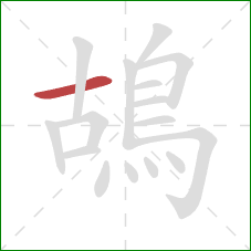 鴣的笔顺第1画:横 鴣的笔顺第1画:横