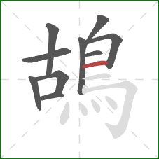鴣的笔顺第10画:横 鴣的笔顺第10画:横