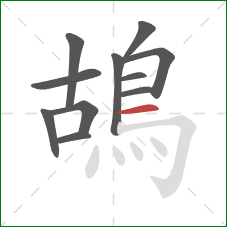 鴣的笔顺第11画:横 鴣的笔顺第11画:横