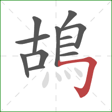 鴣的笔顺第12画:横折钩 鴣的笔顺第12画:横折钩