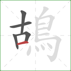 鴣的笔顺第5画:横 鴣的笔顺第5画:横