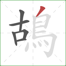 鴣的笔顺第6画:撇 鴣的笔顺第6画:撇