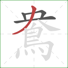鴦的笔顺第4画：撇
