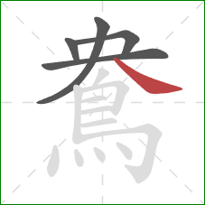 鴦的笔顺第5画：捺