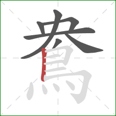 鴦的笔顺第7画：竖