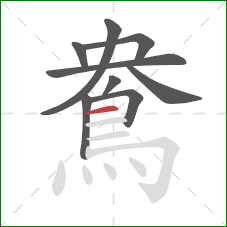 鴦的笔顺第9画：横