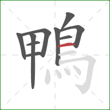 鴨的笔顺第10画:横 鴨的笔顺第10画:横