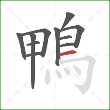 鴨的笔顺第11画:横 鴨的笔顺第11画:横