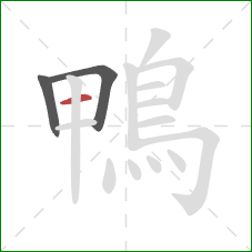 鴨的笔顺第3画:横 鴨的笔顺第3画:横