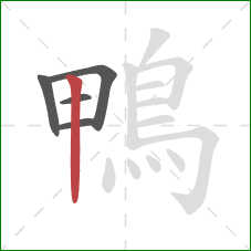 鴨的笔顺第5画:竖 鴨的笔顺第5画:竖
