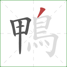 鴨的笔顺第6画:撇 鴨的笔顺第6画:撇