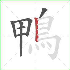 鴨的笔顺第7画:竖 鴨的笔顺第7画:竖