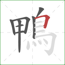 鴨的笔顺第8画:横折 鴨的笔顺第8画:横折