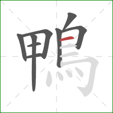 鴨的笔顺第9画:横 鴨的笔顺第9画:横