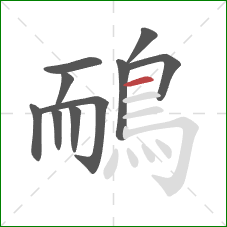 鴯的笔顺第10画:横 鴯的笔顺第10画:横