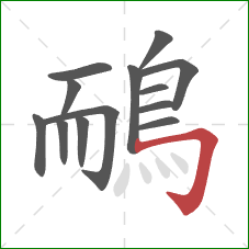 鴯的笔顺第13画:横折钩 鴯的笔顺第13画:横折钩
