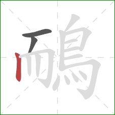 鴯的笔顺第3画:竖 鴯的笔顺第3画:竖