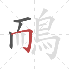 鴯的笔顺第4画:横折钩 鴯的笔顺第4画:横折钩