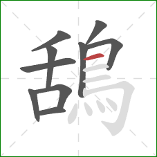 鴰的笔顺第10画:横 鴰的笔顺第10画:横